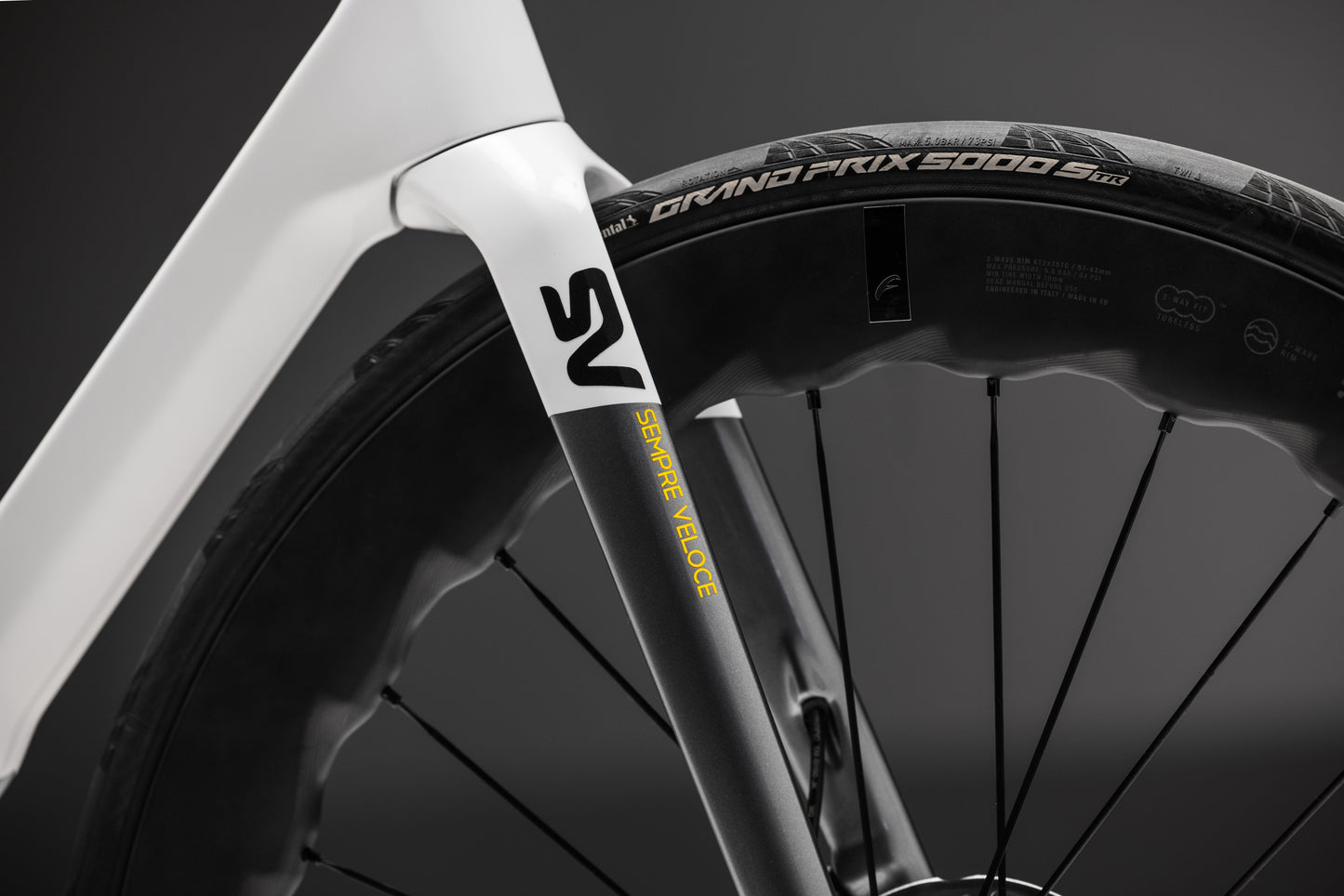 Basso SV