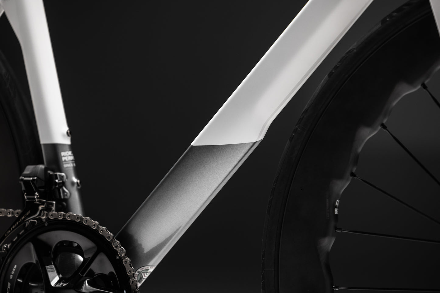 Basso SV