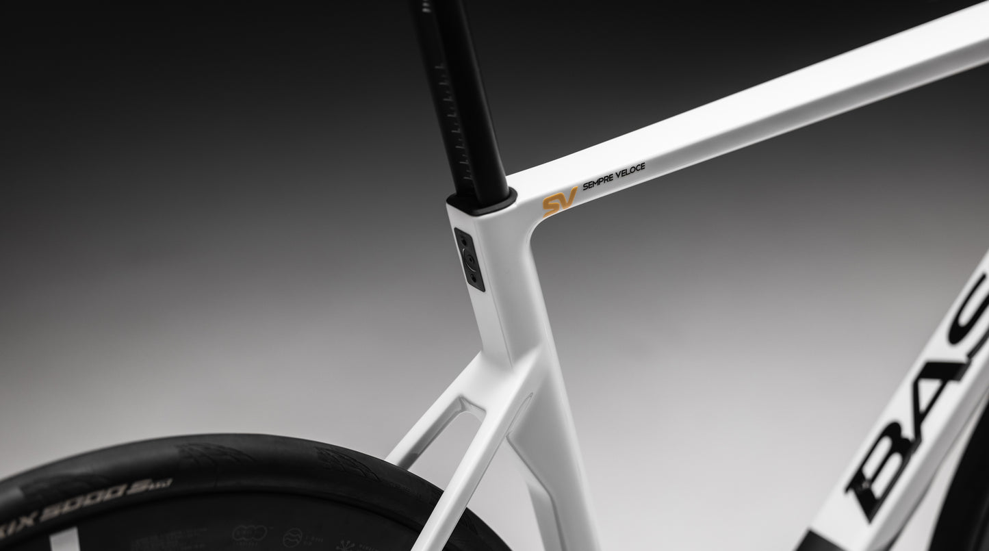 Basso SV