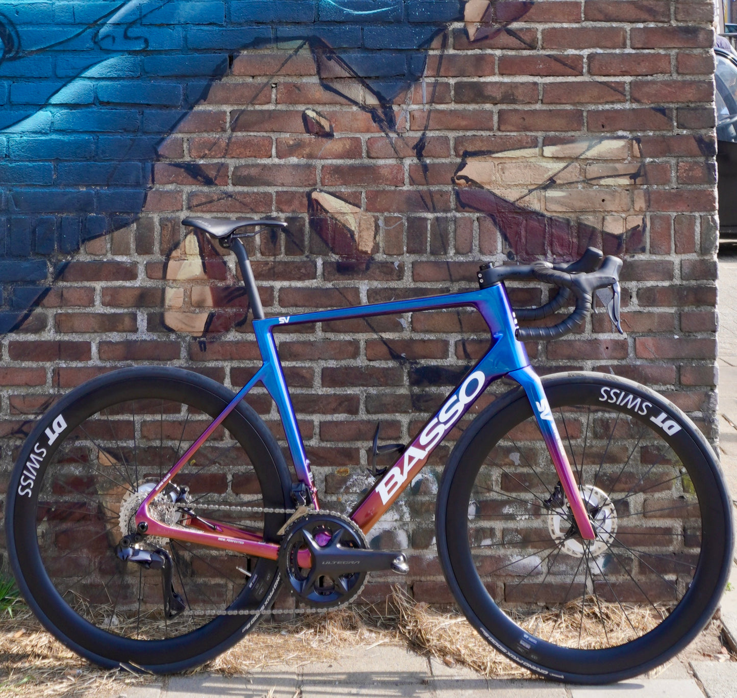 Basso SV