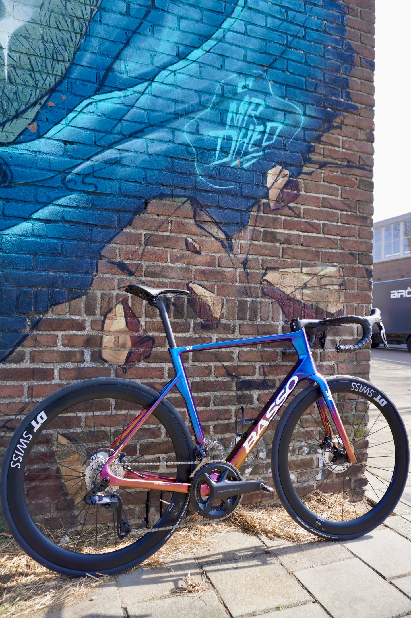 Basso SV