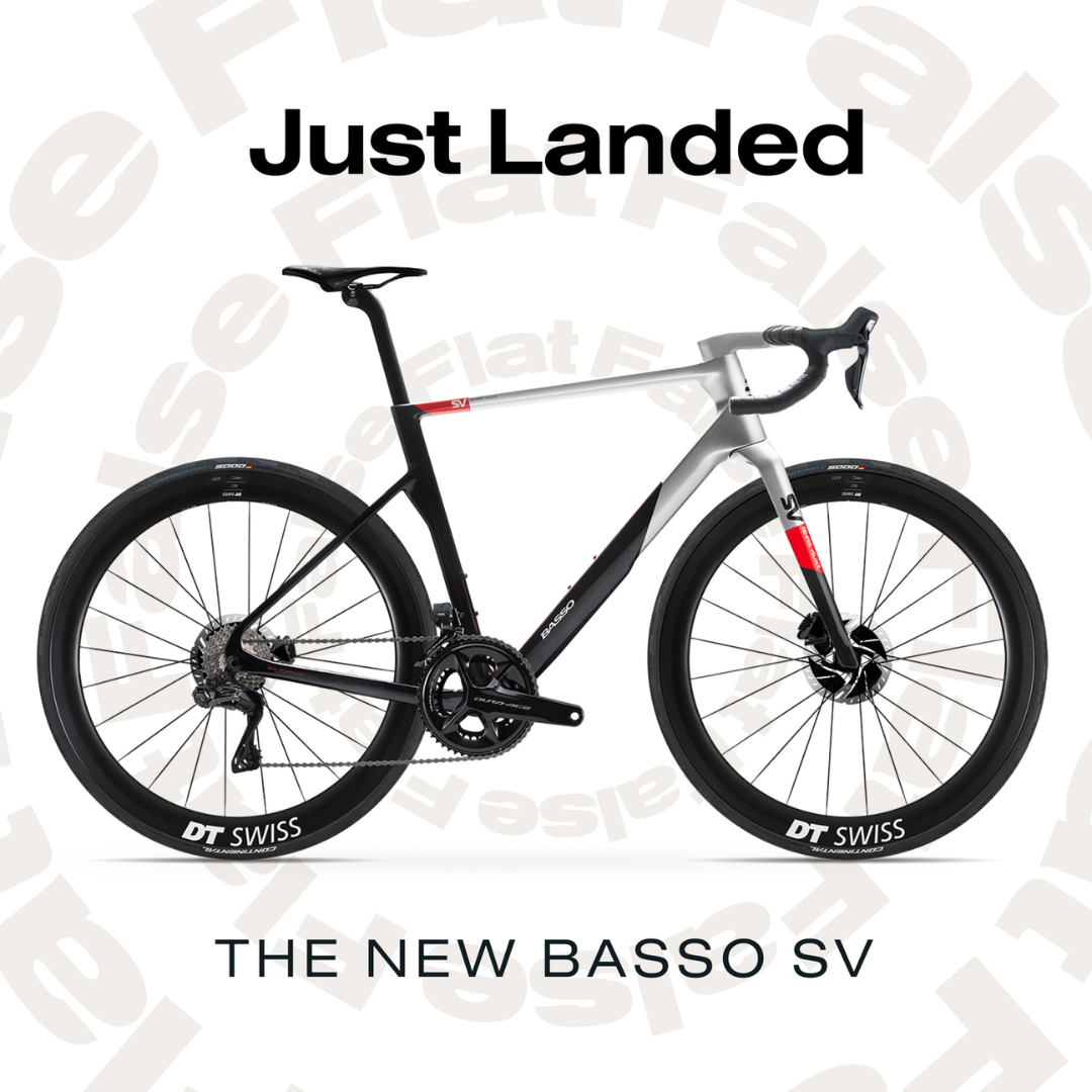Basso SV