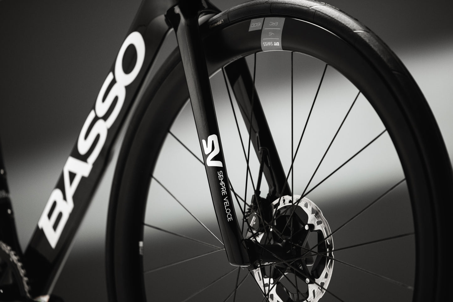 Basso SV