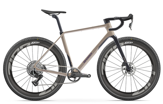 Basso Palta III - New