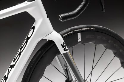 Basso SV