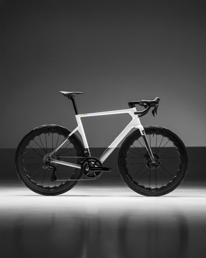 Basso SV