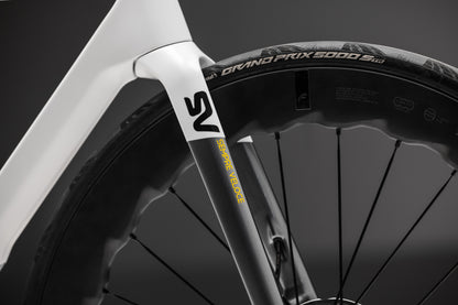 Basso SV
