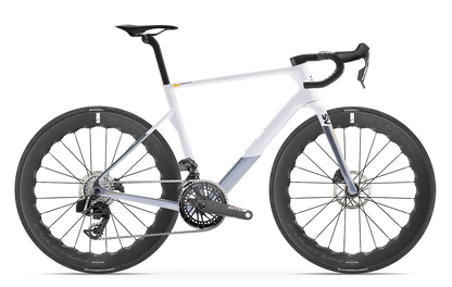 Basso SV