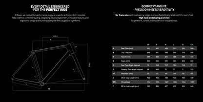 Basso Palta III - New